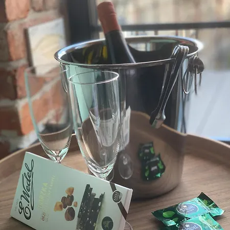 Loft21 公寓 克拉科夫